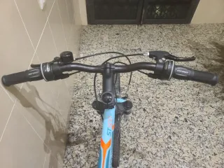 Bicicleta infantil Rockrider: timbre, pata...