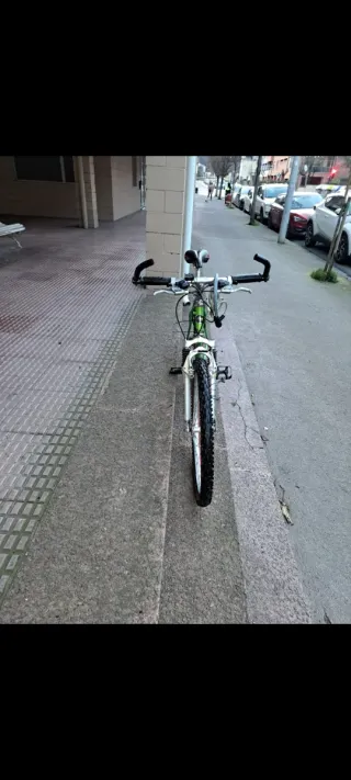 Bicicleta de montaña verde