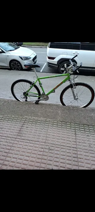 Bicicleta de montaña verde