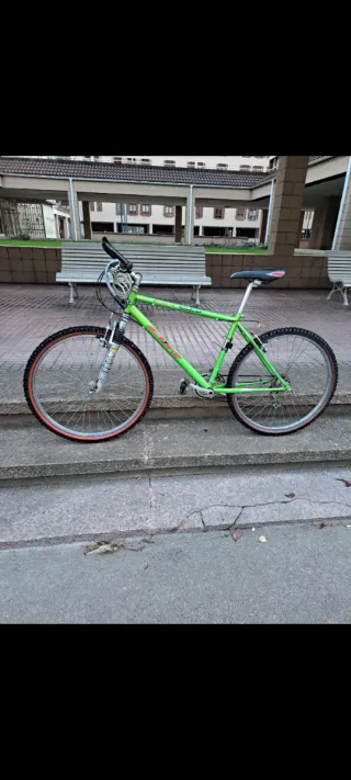 Bicicleta de montaña verde