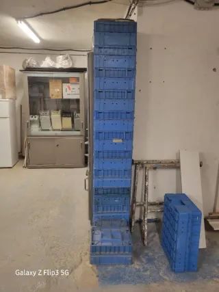 Cajas de almacenaje de plástico azul