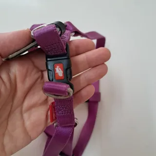 Arnés para perro 15 mm