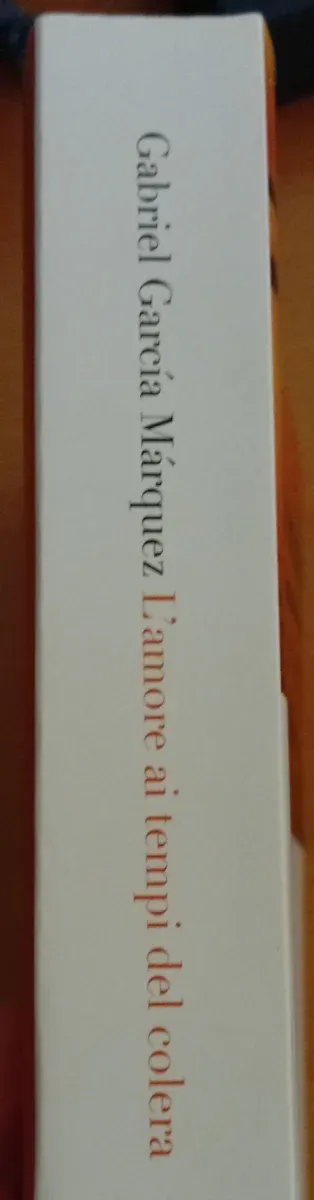Romanzo "L'Amore ai tempi del Colera"