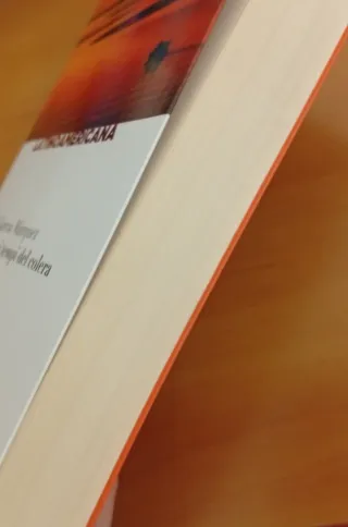Romanzo "L'Amore ai tempi del Colera"