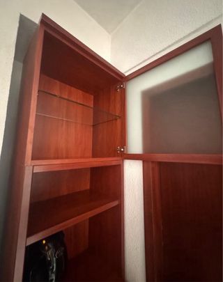 Vitrina estrecha madera y cristal