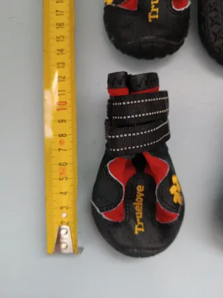 Patucos para perro nieve