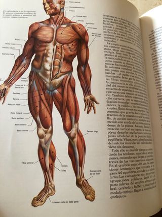 Enciclopedia Base /10