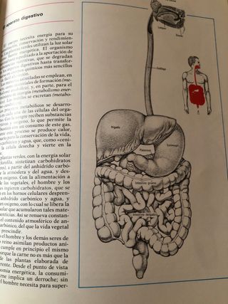 Enciclopedia Base /10