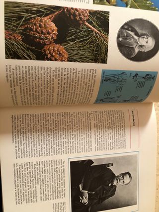 Enciclopedia Base /10