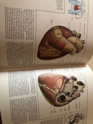 Enciclopedia Base /10