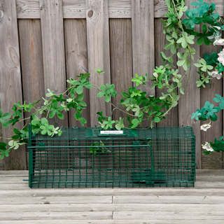 Jaula para Animales Vivos 60x18x20cm Verde Oscuro