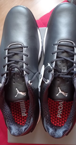 Zapatos de golf Puma Adapt Foam talla 43