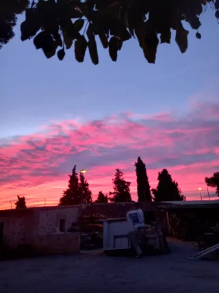 Busco chico, que viva en Bétera para trabajo