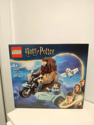 LEGO 76443 Viaje en moto Hagrid & Harry's