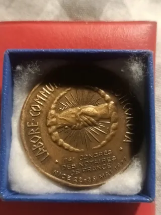 Medalla francesa NIKH con ala