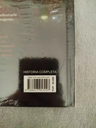 El Camino De La Espada