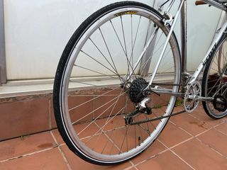 Bicicleta Urbana customized Scott con marchas