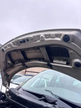 Capó Renault Scenic