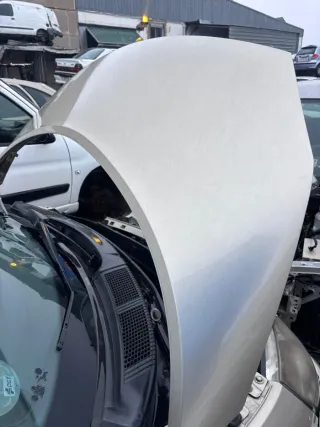 Capó Renault Scenic