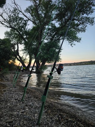 Soportes para cañas