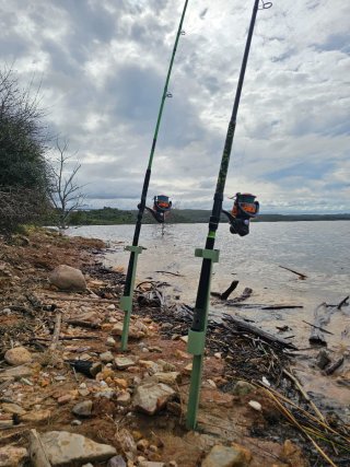 Soportes para cañas