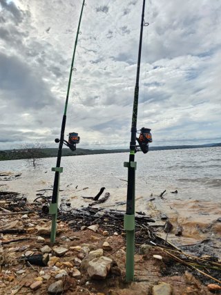 Soportes para cañas
