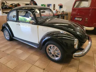 Servicio a domicilio de limpieza vehículos