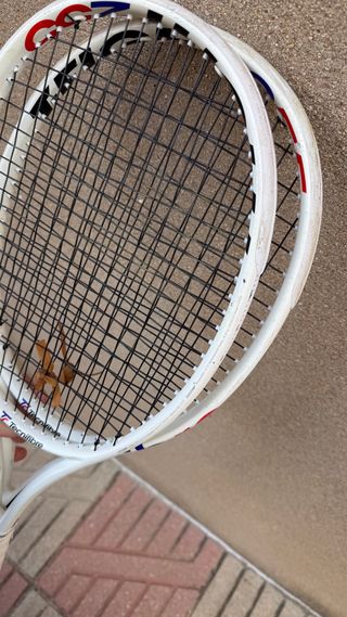 Raquetas Tecnifibre T-Fight 255