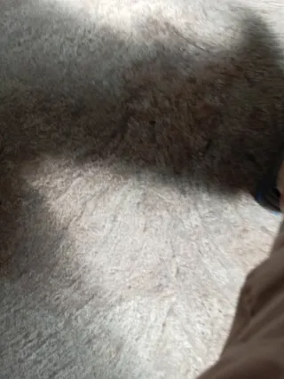 Tubo de escape GAC D-55 usado