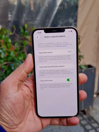 iPhone 12 Pro Max 256 GB Dorado