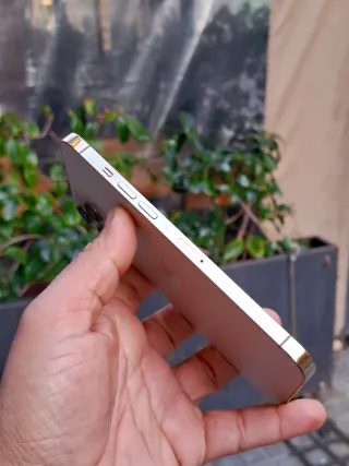 iPhone 12 Pro Max 256 GB Dorado