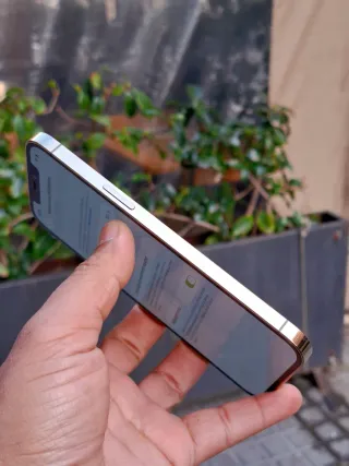 iPhone 12 Pro Max 256 GB Dorado