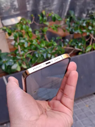 iPhone 12 Pro Max 256 GB Dorado