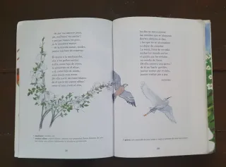 La Rosa De Los Vientos N/c (Cucana) (Spanish Ed...