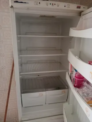 Nevera blanca y lavadora