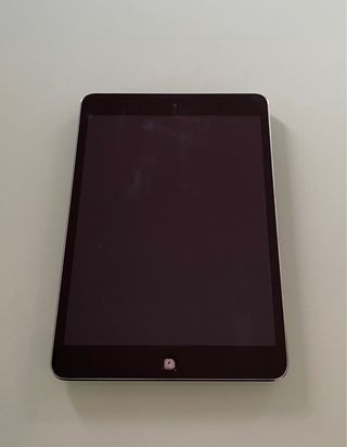 iPad mini 2