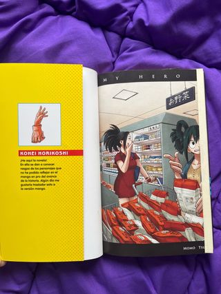 My Hero Academia nº 01 (novela)