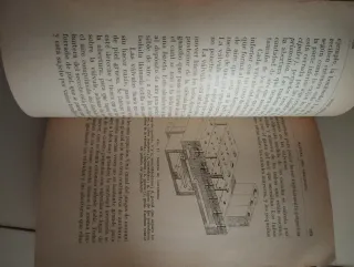 Manual del Organista