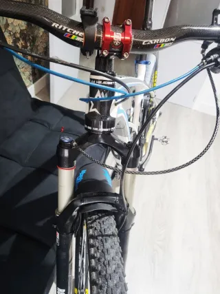 Bici MTB MSC Carbono 29