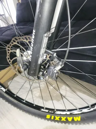 Bici MTB MSC Carbono 29