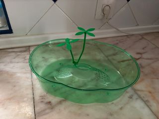 Tortuguera de plástico verde