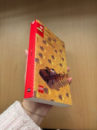 Hoyos (El barco de vapor / The Steamboat) (Span...