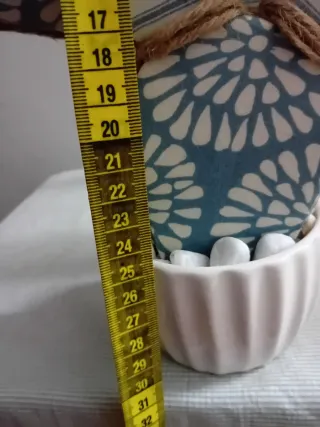 Pianta decorativa cactus tessuto e