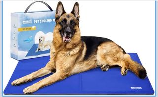 Cama Gel Perros 120x80