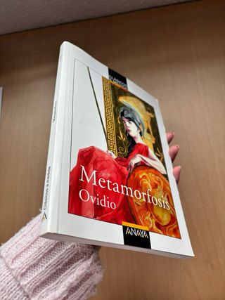 Metamorfosis (Clasicos a Medida) (Spanish Edition)