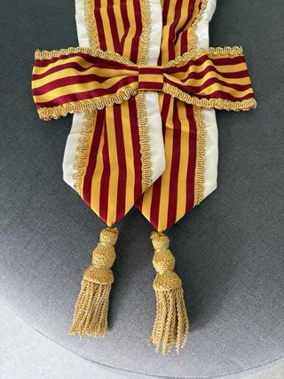 Banda Fallera corte de honor