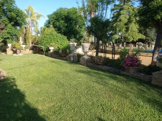 Mantenimiento de jardinería