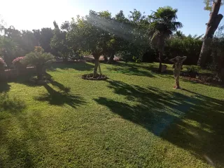 Mantenimiento de jardinería