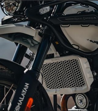 Protector Radiador Himalayan 450
