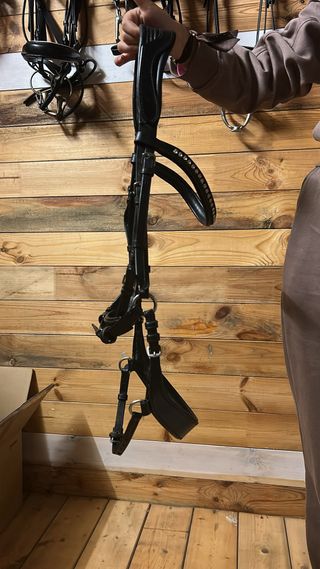 Brida Doma anatómica